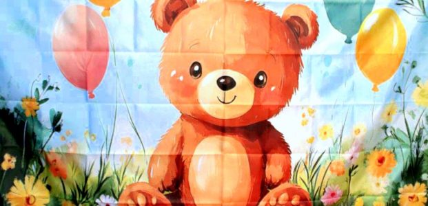 DZIEŃ PLUSZOWEGO MISIA